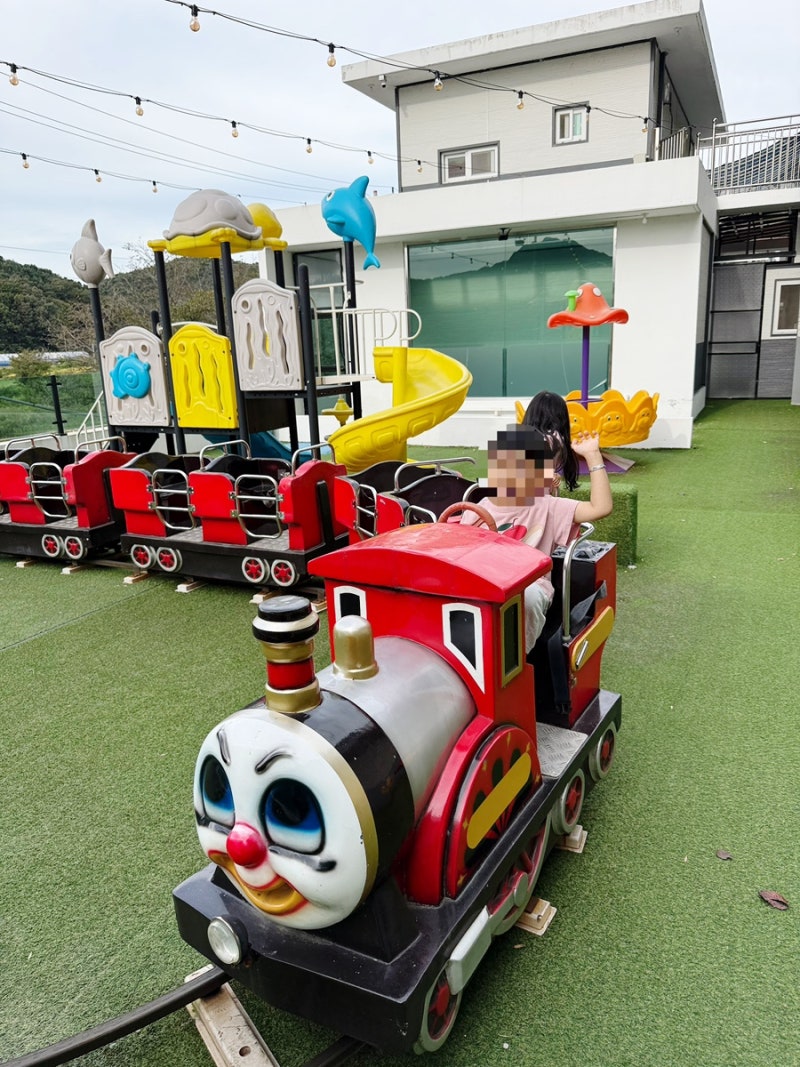 Gapyeong Eco Healing Kids Pool Villa with a Stream for Babies | Panda Room Review