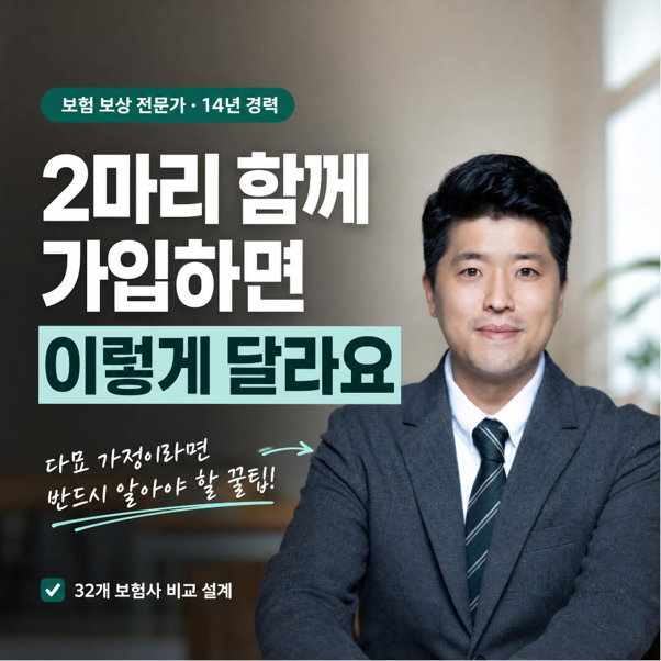 고양이 2마리면 보험료도 두 배? 다묘 보험 추천 기준 정리