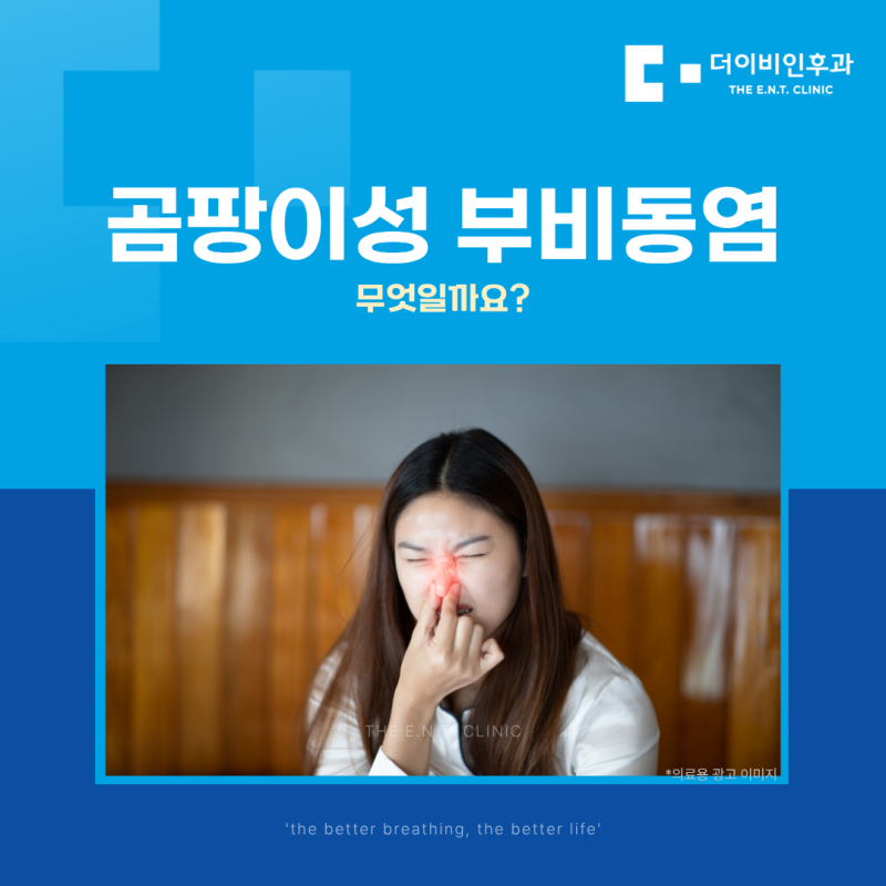 시흥일요일이비인후과 곰팡이성 부비동염이란 무엇일까요?