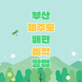 부산 제주도 배편 예약 방법 시간표 차량선적 직접 확인해 보니 (2026 최신)