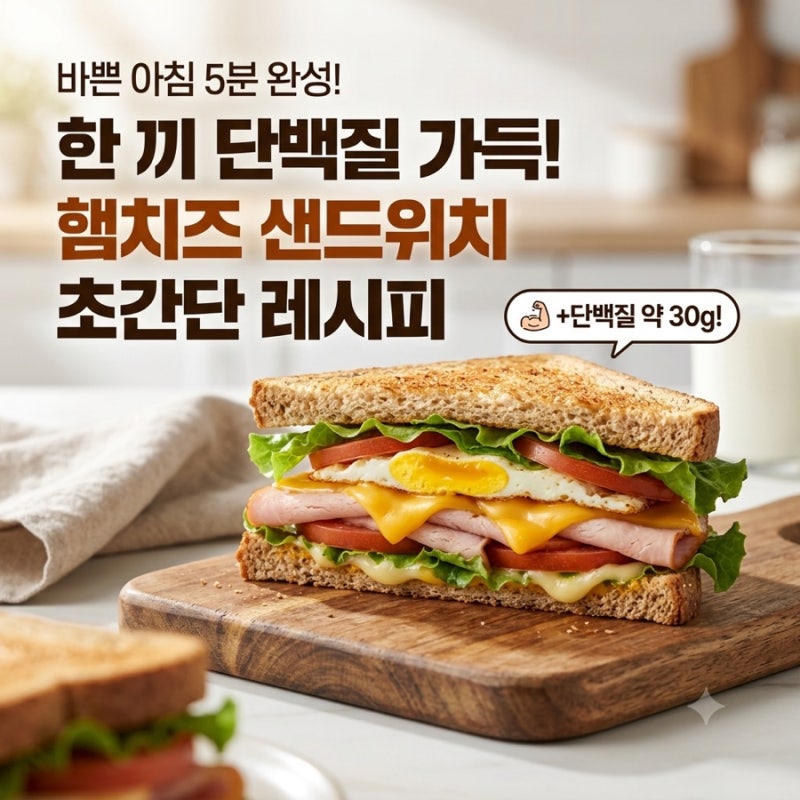 단백질 폭탄 햄치즈 샌드위치 만들기: 초간단 재료로 챙기는 고단백 한 끼