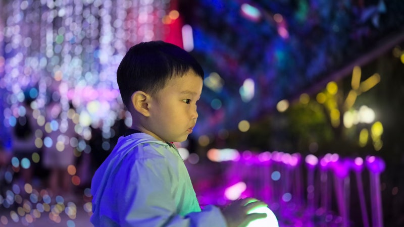 Places to Visit with a Baby in Daejeon [Daejeon O-World Night Opening Fireworks Festival] O-World Night Opening with a 30-Month-Old Baby