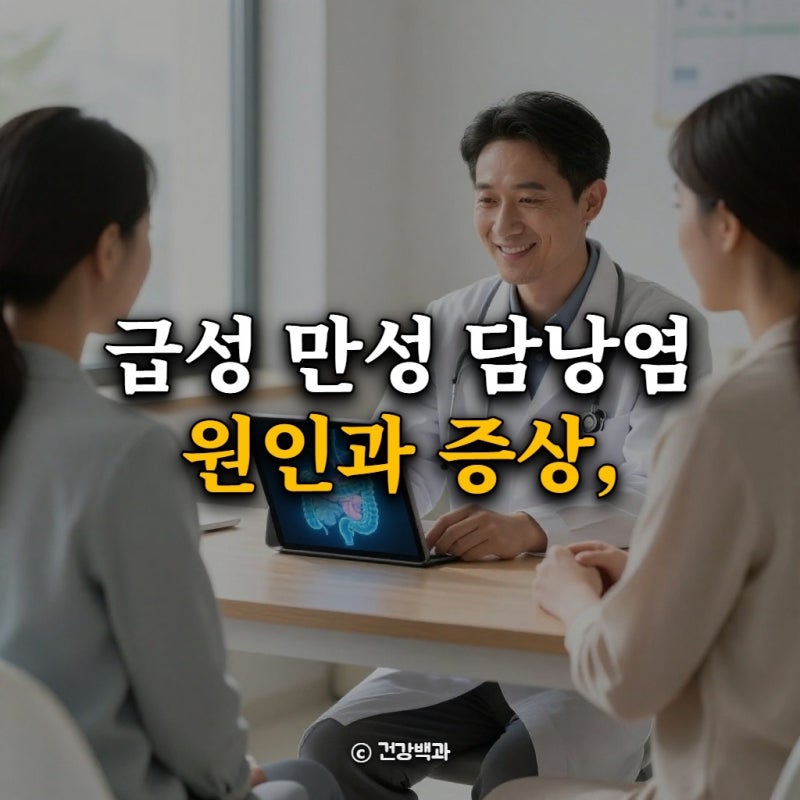 급성 만성 담낭염 원인과 증상, 복통 시 대처 방법