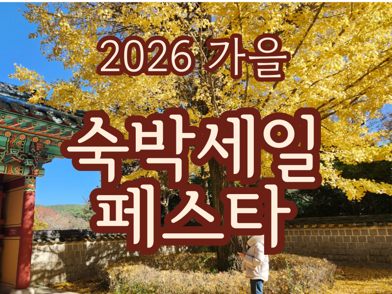 2026 숙세페 시작! 10월 2박 3일 국내 여행지 추천까지