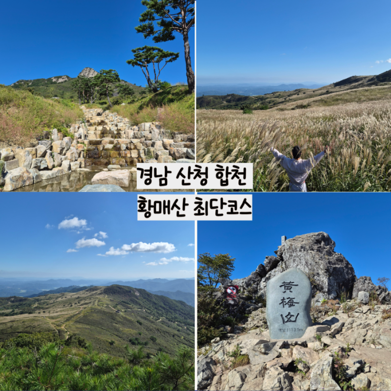 Hwangmaesan's Shortest Course: Mireunae Park Summit Reed Field, Blackyak 100 Famous Mountains in Sancheong, Hapcheon, Gyeongnam