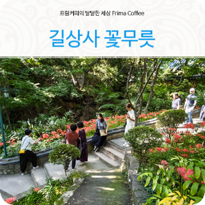 서울절 성북동 길상사 꽃무릇 개화