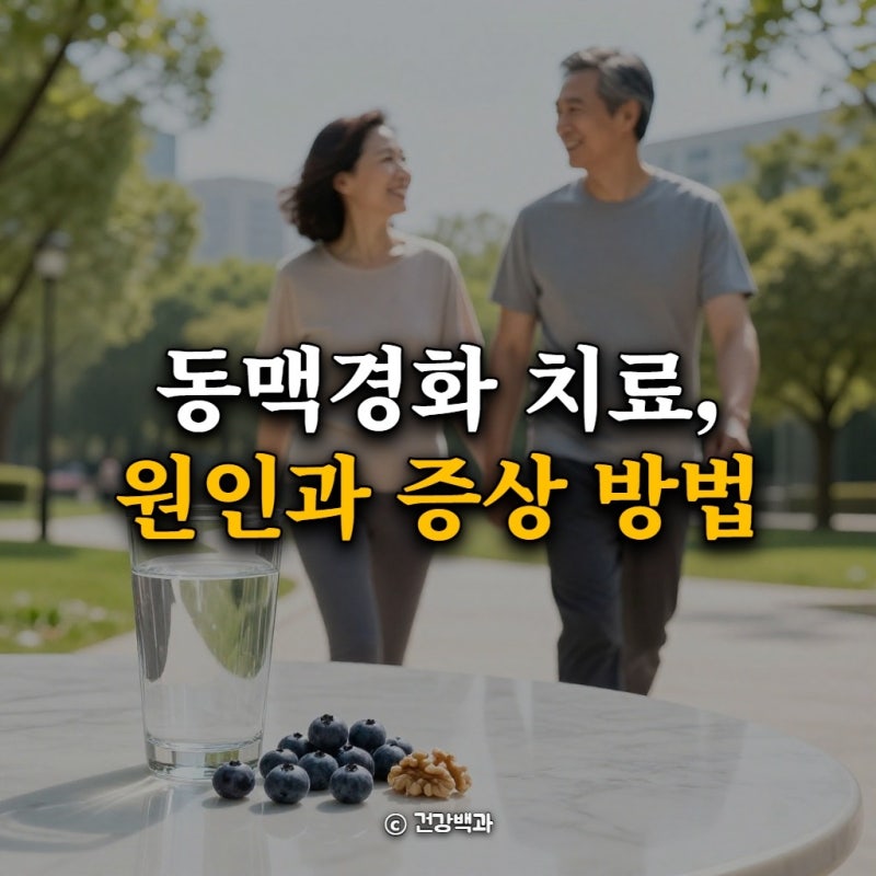 동맥경화 치료, 원인과 증상 방법 알아봐요 총정리