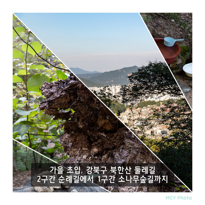 가을 초입, 강북구 북한산 둘레길 2구간 순례길에서 1구간 소나무 숲길까지
