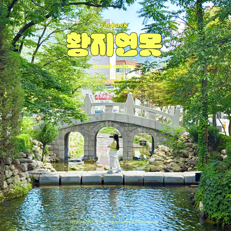 강원도 태백 가볼만한곳 태백 관광지 황지연못 추천