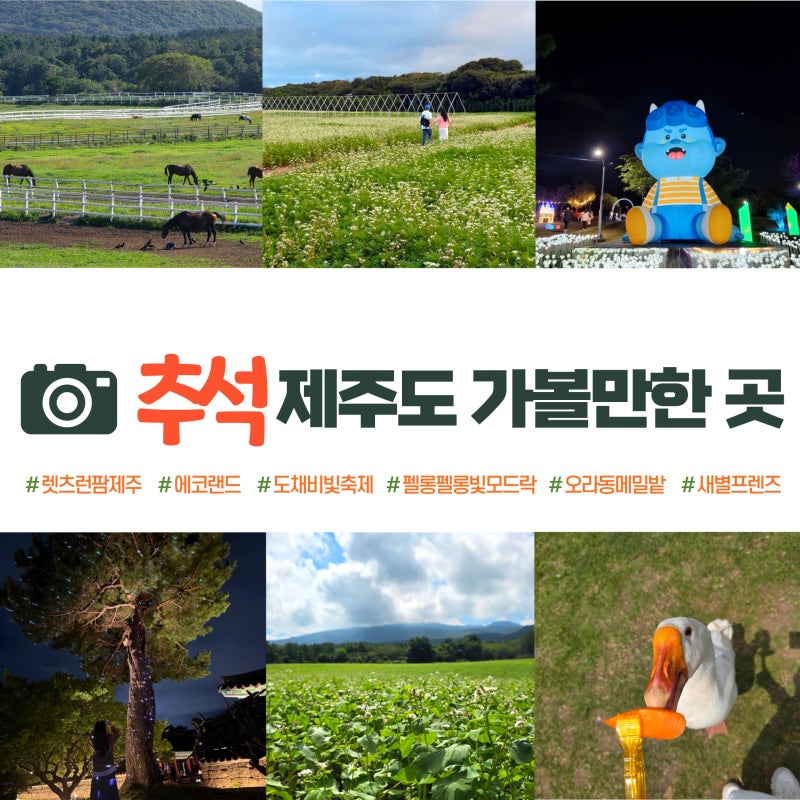 Must-Visit Places in Jeju During Chuseok Holiday: Family-Friendly, Near Jeju Airport, and Festivals