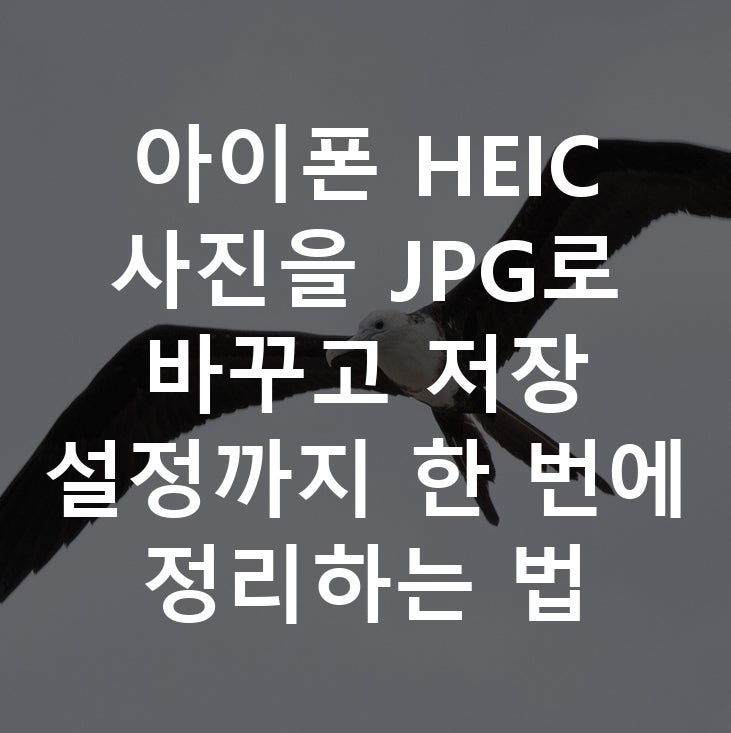 아이폰 HEIC 사진을 JPG로 바꾸고 저장 설정까지 한 번에 정리하는 법