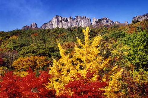 내장산: 우리나라 50산 종주