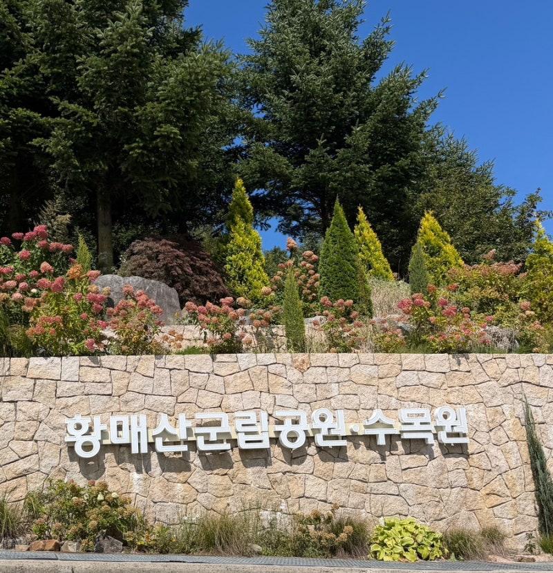 합천 황매산/ 황매산군립공원/ 수국,억새보러가자/ 초1 어디까지갔을까/ 가을날즐기기 딱/ 운....