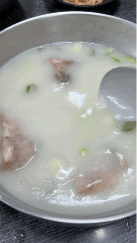 [제주맛집] 전현무 박세리님이 극찬한 접짝뼈국 맛집 제주 현지인 추천 ‘화성식당’