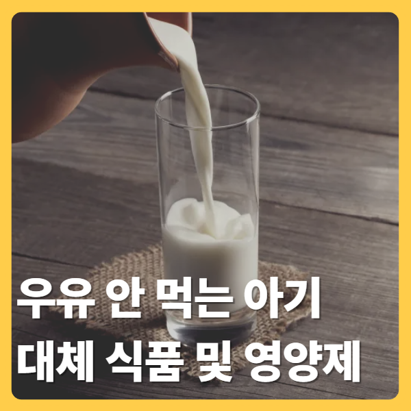 우유 안 먹는 아기 칼슘 섭취 대체 식품, 치즈·요거트 섭취량과 칼마디 영양제