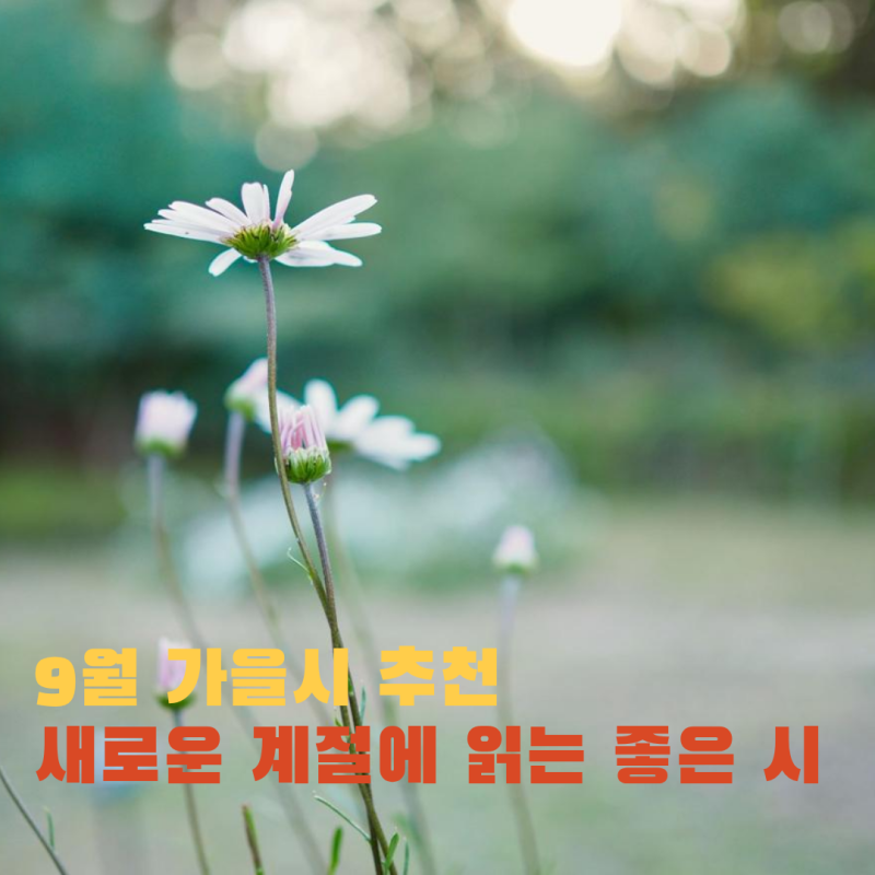 9월 가을시 추천, 새로운 계절에 읽는 좋은 시 모음 / 이해인, 나태주, 김춘수, 윤동주