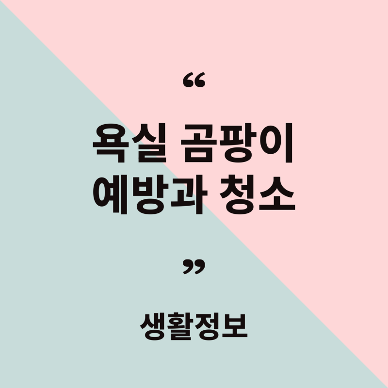 욕실 곰팡이 예방과 청소 방법, 안전하게 지우는 요령