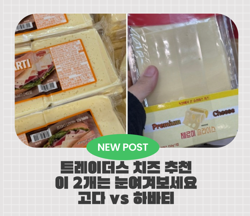 트레이더스에서 사야 할 슬라이스 치즈, 이번엔 이 2가지 골라봤어요