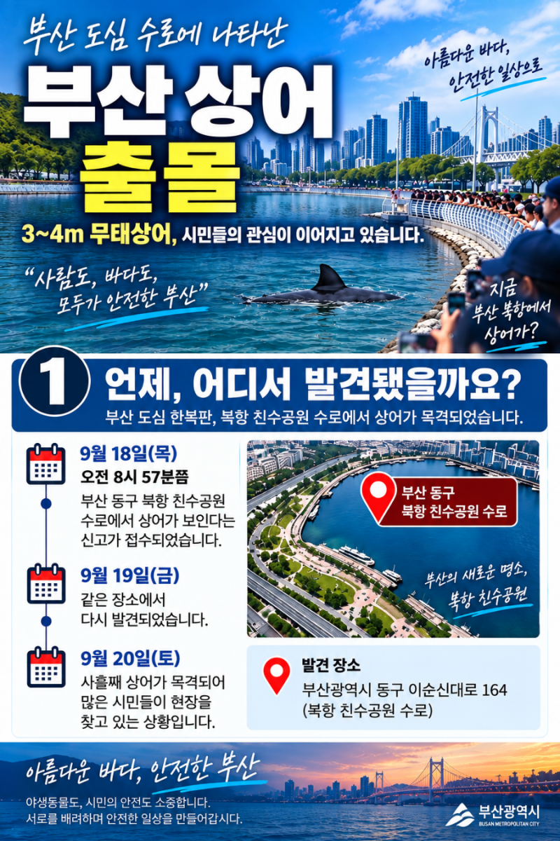 부산 상어? 출몰 어디?