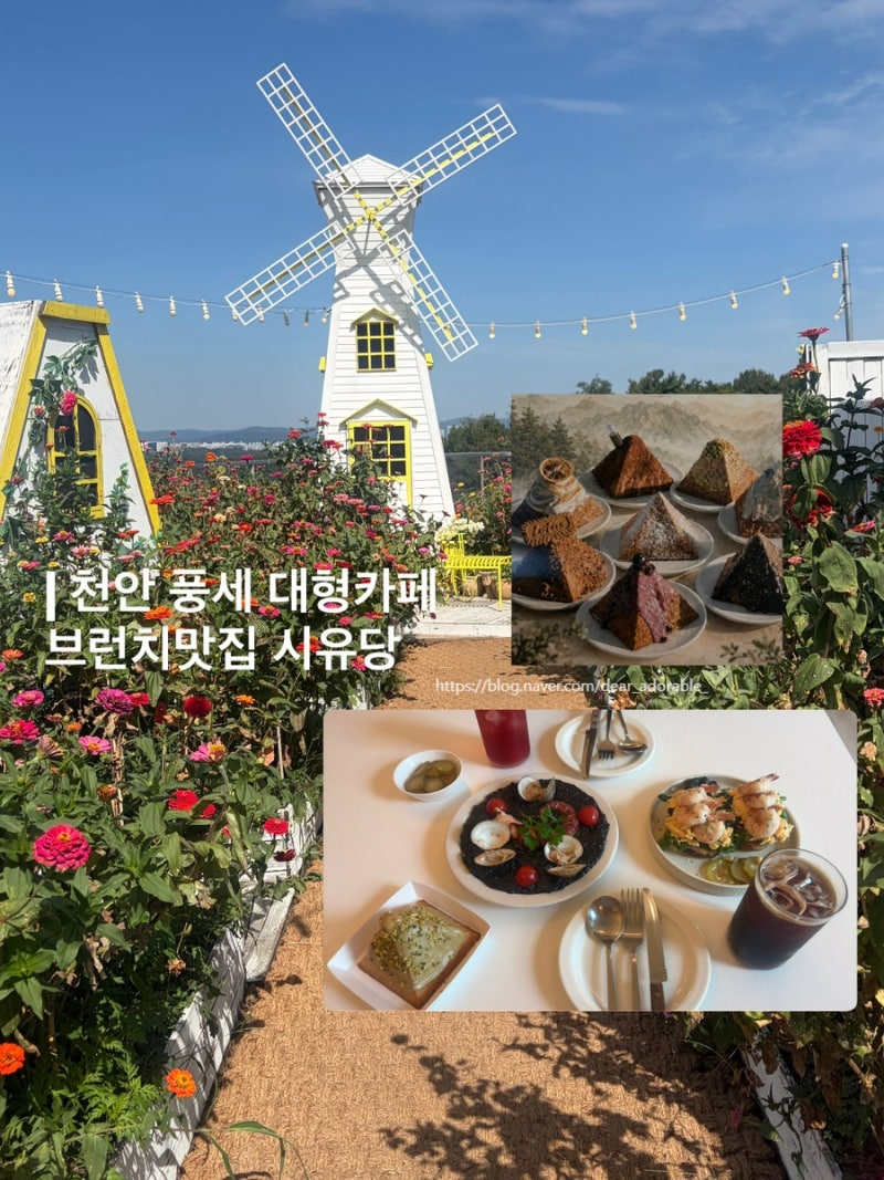 천안카페, 풍세 대형카페 브런치맛집 시유당