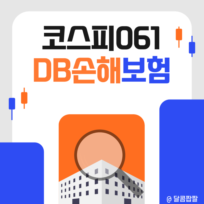 [코스피061] DB손해보험, 초보 투자자가 꼭 봐야 할 핵심 정리