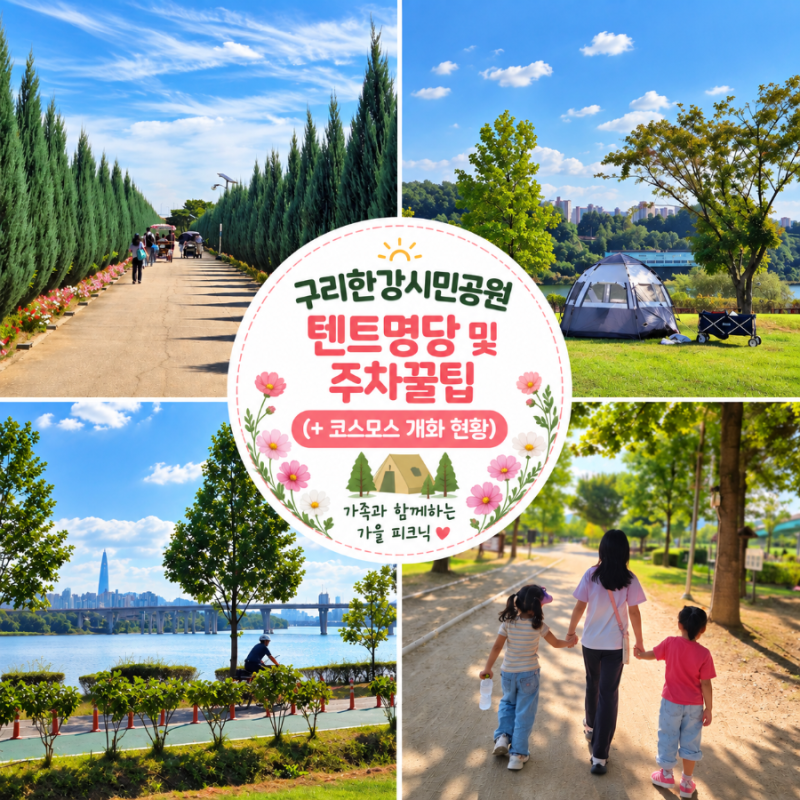 구리한강시민공원 텐트명당 및 주차꿀팁 (+코스모스 개화 현황)