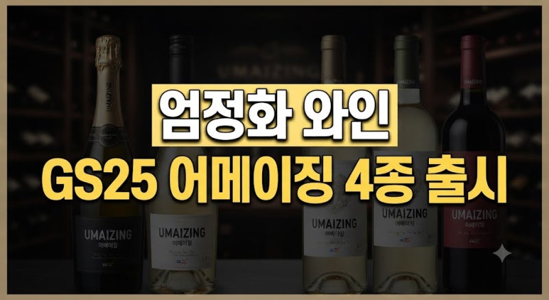 엄정화 와인 어메이징 4종 라인업과 가격 및 판매처 총정리