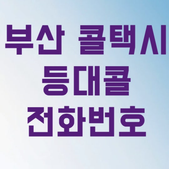 부산 콜택시 등대콜 전화번호 이용 방법 (앱 호출 및 예약 꿀팁)