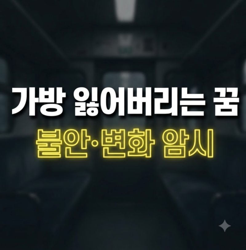 가방 잃어버리는 꿈 해몽 종류별 정리 (명품가방 캐리어 지갑 찾는 꿈)