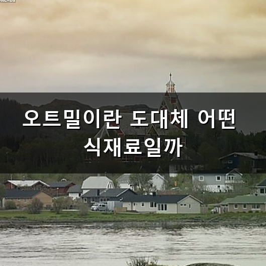 오트밀 먹는 법 어떻게 시작해야 맛있을까? 실패 없는 오트밀 맛있게 먹는 법