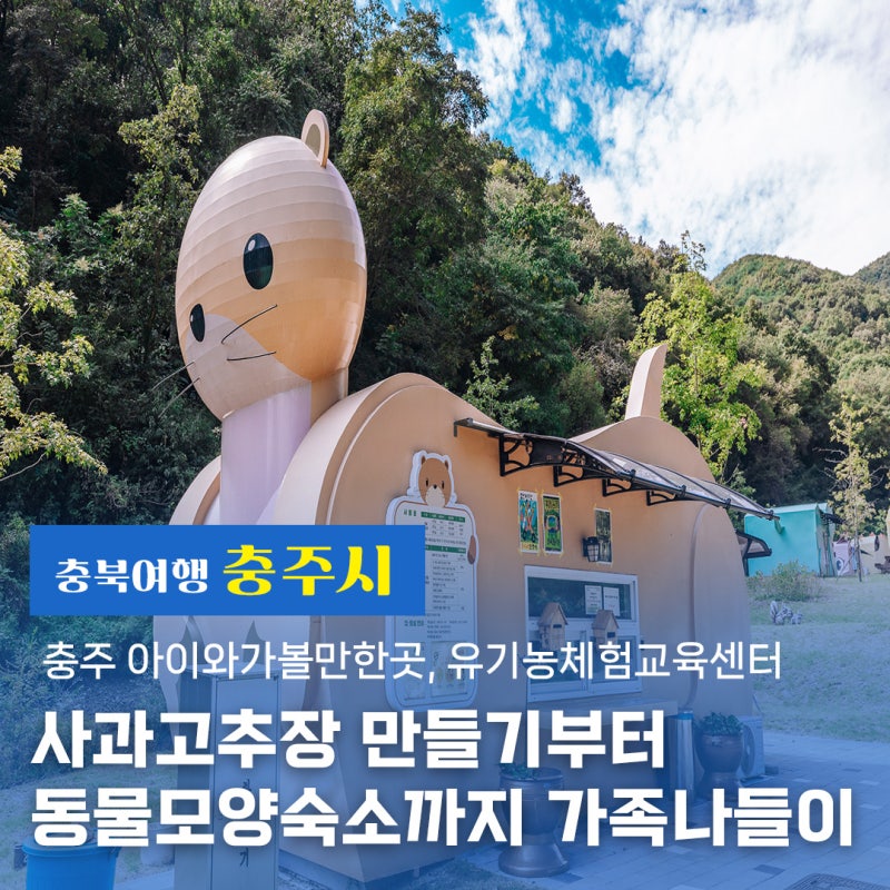 충주 아이와 가볼만한 곳, 유기농체험교육센터ㅣ사과고추장 만들기부터 동물 모양 숙소까지....