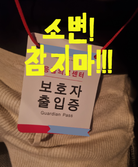 신우신염 증상 총정리｜아이 발열·옆구리 통증, 방광염과 다른 점