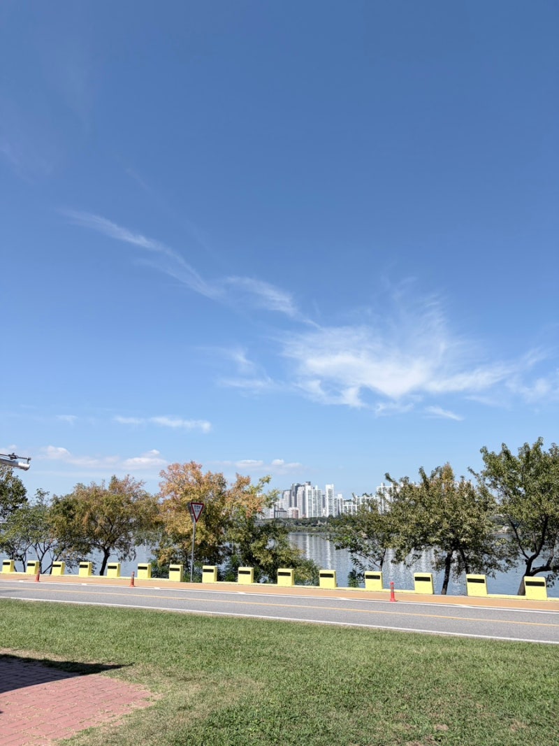 Jamsil Hangang Park Picnic: Hangang Ramen and BHC Chicken + Terarosa Jamsil Hangang Park Branch