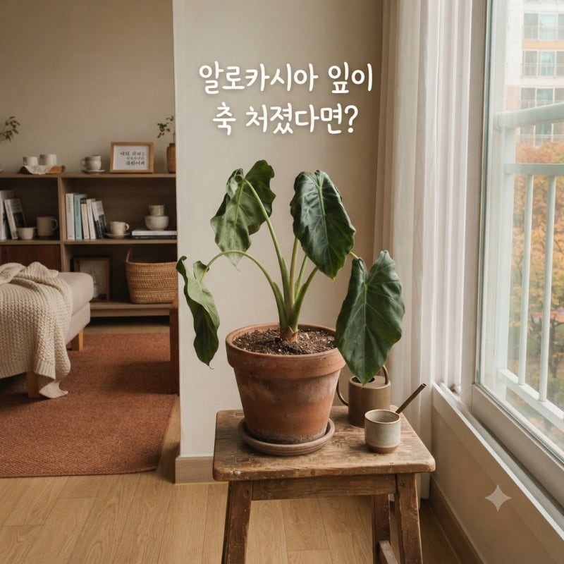 알로카시아 잎이 축 처졌다면? 물부터 주기 전에 확인할 4가지