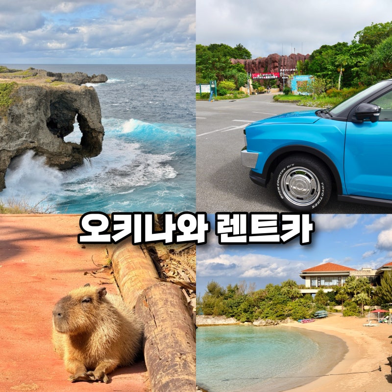 오키나와 렌트카 예약 추천 비용 자유여행 코스 가볼만한곳