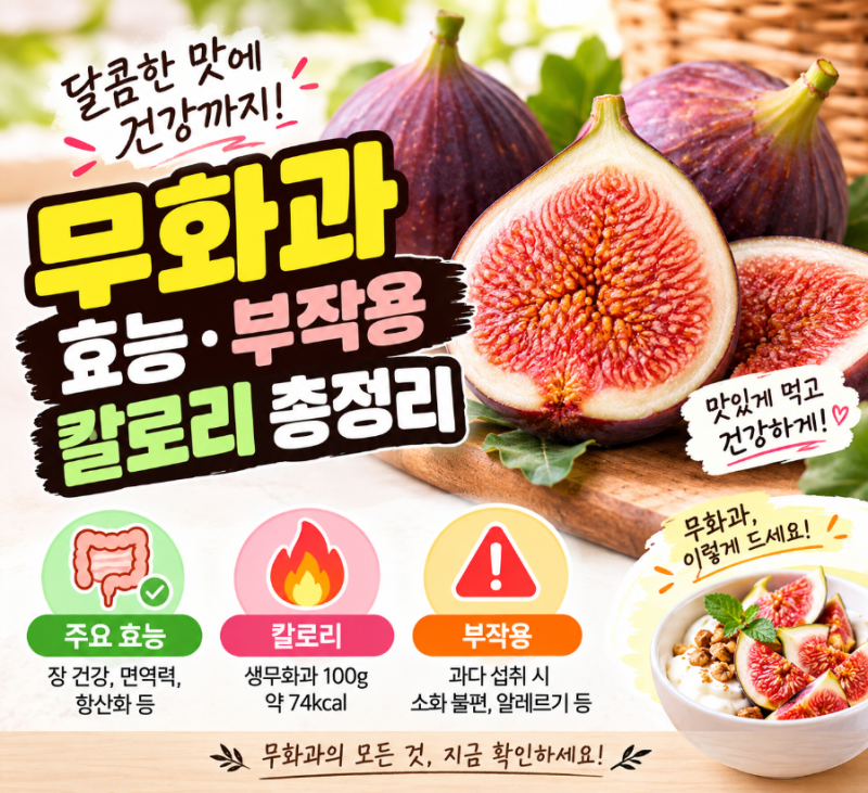 무화과 효능·부작용·칼로리 총정리