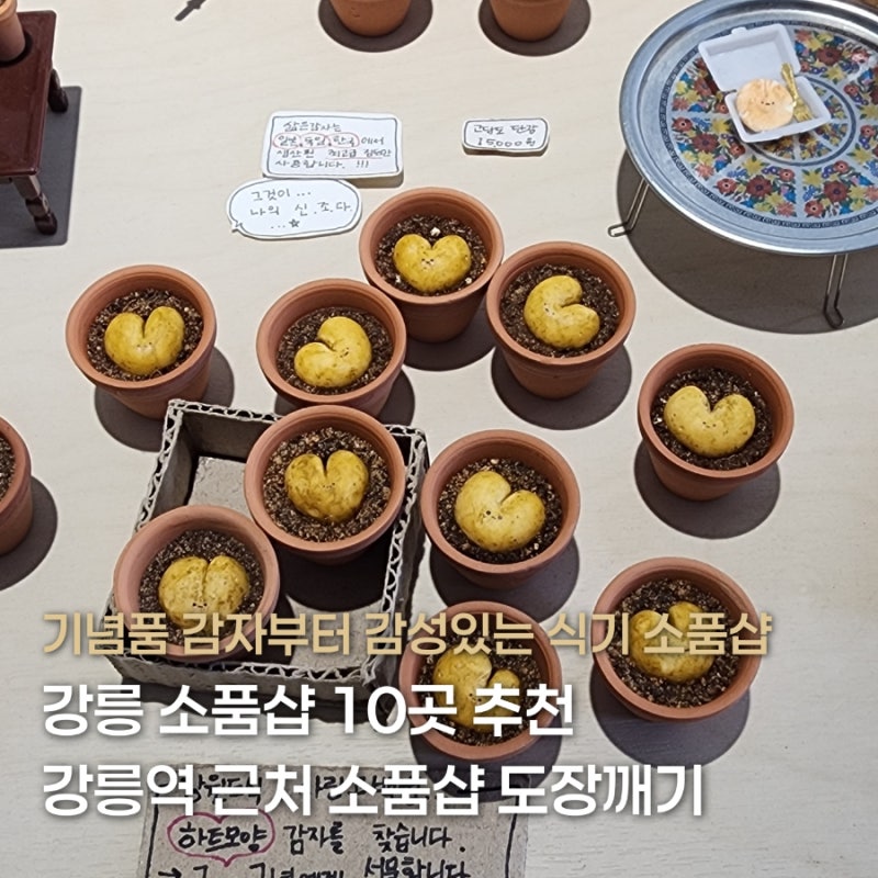강릉역 근처 소품샵 추천 직접 다녀온 10곳 강릉 소품샵 투어