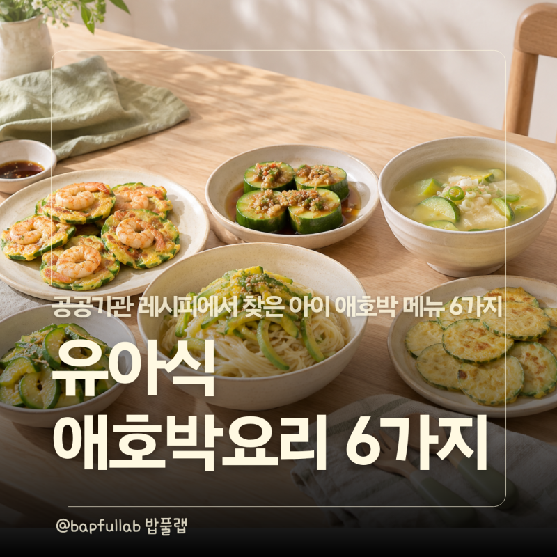 유아식 애호박요리 뭐 해줄까? 공공기관 식단에서 고른 아이 애호박메뉴 6가지