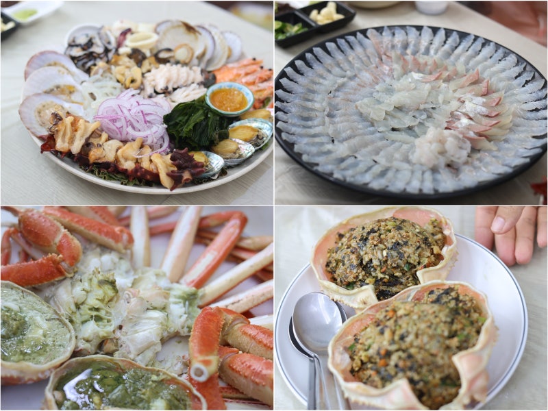 속초 대포항 횟집 추천 대게 맛집 강남활어 애견동반식당 회센터 수산시장