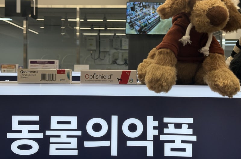 강아지 안구건조증 안연고 옵티뮨·옵티실드(사이클로스포린), 성분 비교와 넣는 법, 주의사....