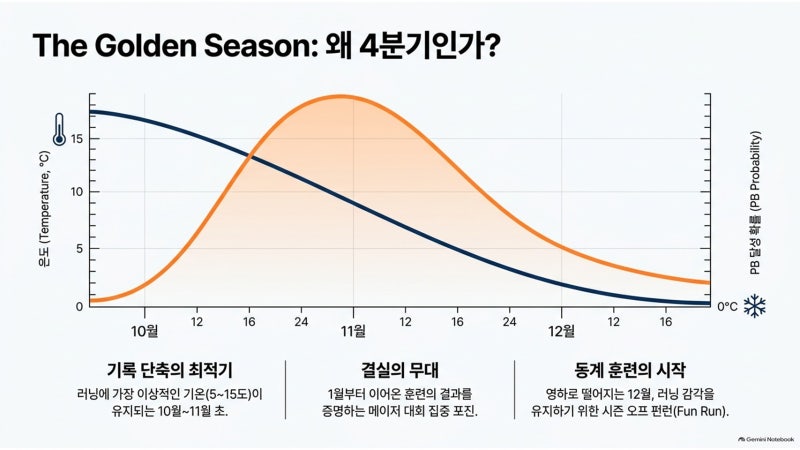 2026년 10월~12월 경기·수도권 마라톤 대회 일정 & 코스 특징 완벽 가이드! JTBC 서울마라톤부터 ....