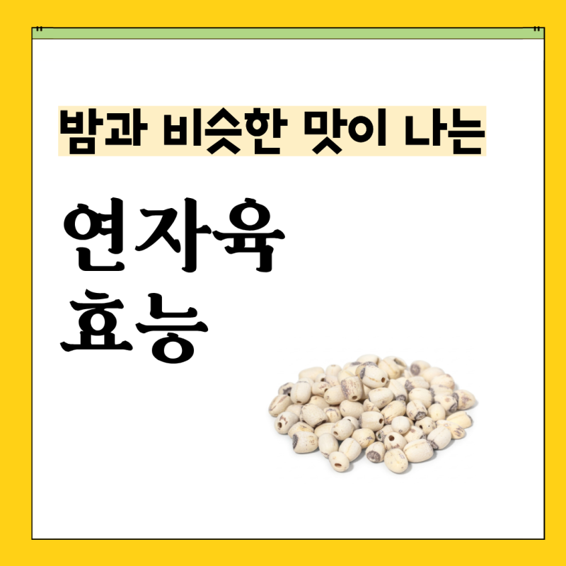 연자육 뜻 효능 먹는 방법 칼로리 부작용