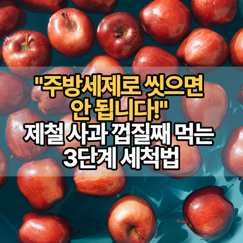 "주방세제로 씻으면 안 됩니다!" 제철 사과 껍질째 먹는 3단계 세척법