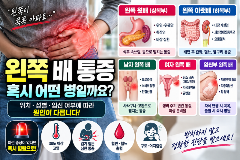 왼쪽 배 통증 원인 6가지와 위치별 의심 질환, 여자·남자·임산부 차이점