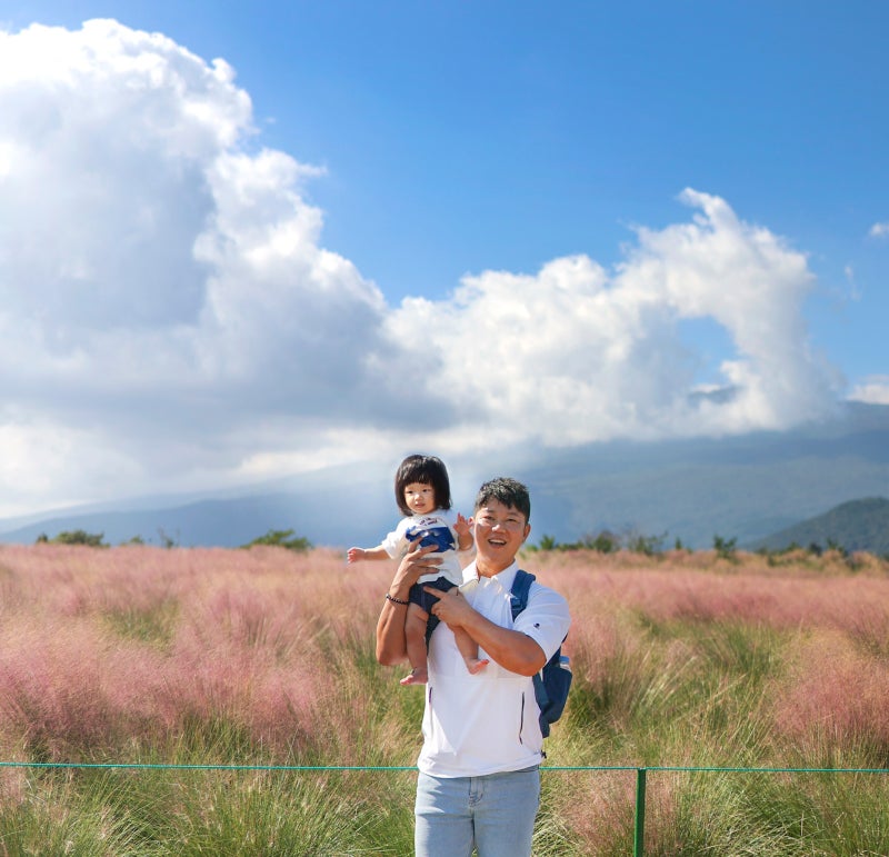 Hueree Pink Muhly is Stunning Right Now! Head Here First for Your 2026 Jeju Autumn Trip