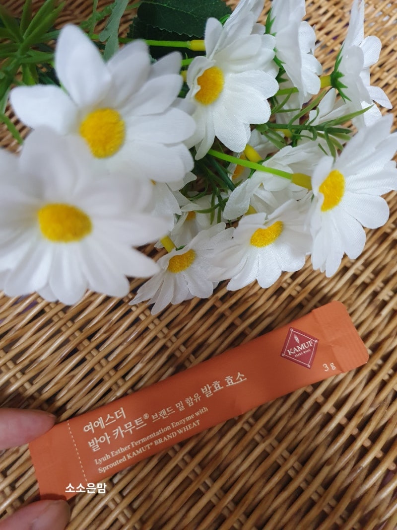 [제품후기]여에스더 발아 카무트 발효 효소