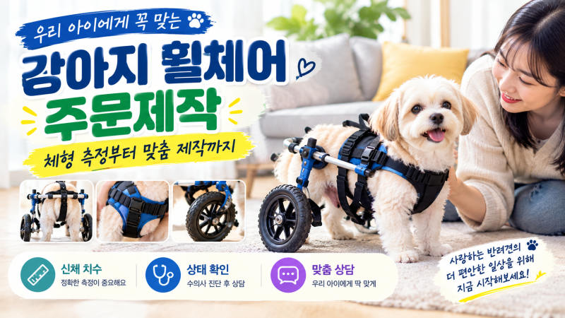 강아지 휠체어 주문제작 방법｜우리 아이에게 맞는 휠체어 고르는 법