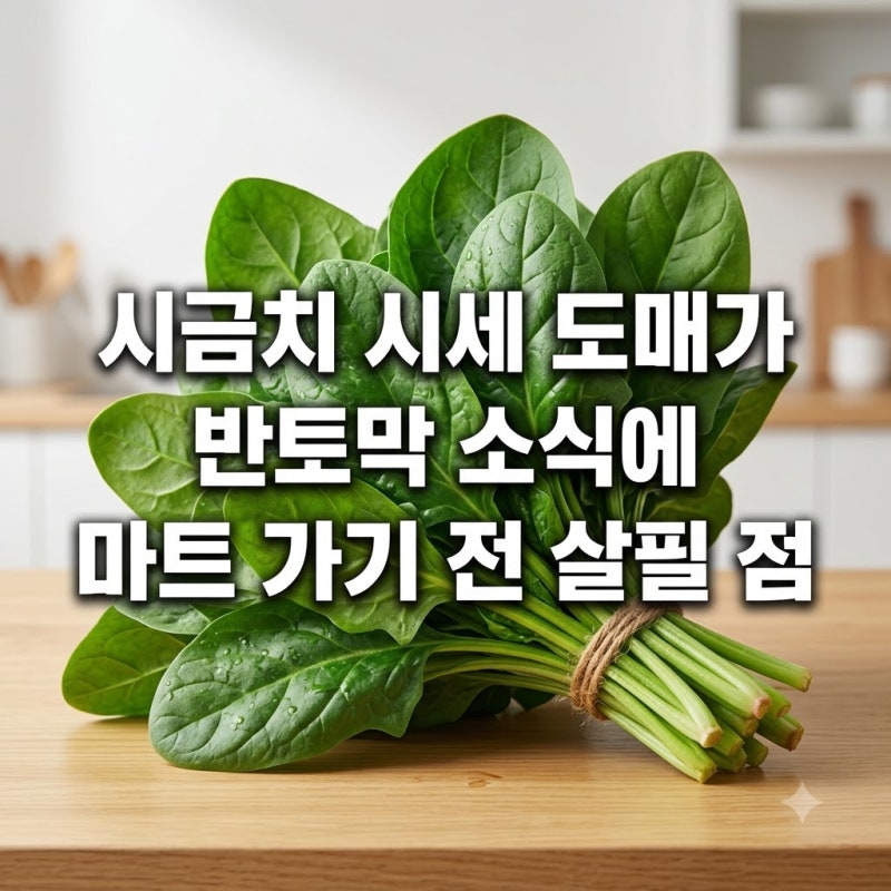 시금치 시세 도매가 반토막 소식에 마트 가기 전 살필 점