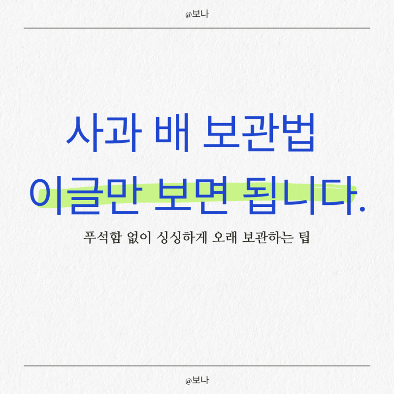 사과 보관법 배 보관법 신문지 랩 포장 푸석함 없이 싱싱하게 오래 보관하는 팁