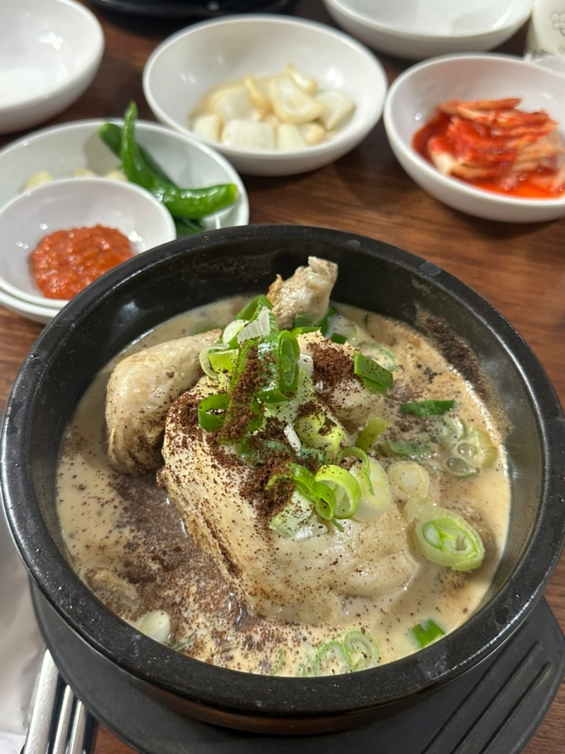 청주 삼계탕 맛집, 고소함 끝판왕 분평동 조도령삼계탕